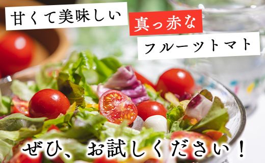 【先行受付】高糖度＆高機能性 フルーツトマト2kg - フルーツトマト トマト 甘美の舞 野菜 フルティカトマト 完熟 糖度8以上 ミニ プチ おすそ分け 大容量 kr-0030