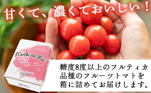 【先行受付】高糖度＆高機能性 フルーツトマト3kg - 甘美の舞 野菜 フルティカトマト 完熟トマト 糖度8以上 ミニトマト プチトマト おすそ分け kr-0020