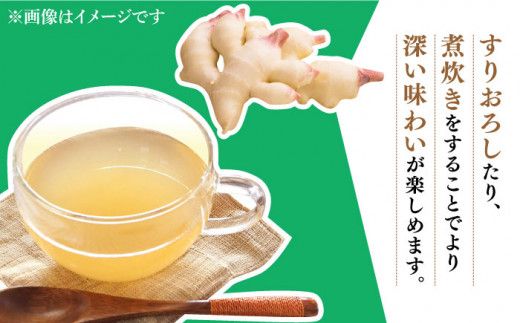 【2026年8月～発送】新生姜 約4kg / ショウガ しょうが 生姜 / 南島原市 / ふくはちファーム [SBS018]