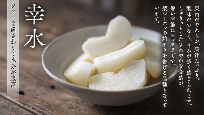 y錧}szy JA k z }uh Fؕi K 5kg 2026NY s\  ʕ t[c Ȃ iV K  fU[g  [AE008ci]