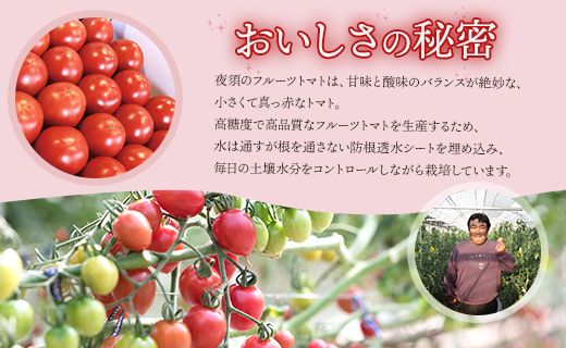 フルーツトマト 2kg 高知県 トマト 高糖度 2024 ランキング 高知 甘い 5月まで発送 夜須 高品質 - フルーツトマト トマト 贈り物 ご褒美 野菜 おかず サラダ yu-0008