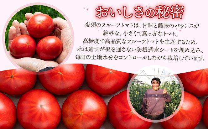 【2026年出荷分】夜須のフルーツトマト 約2kg 【旅サラダに取り上げられました！】 先行予約受付 期間限定 季節限定 野菜 やさい フルティカ 完熟 小ぶり 小さめ 糖度 yu-0018