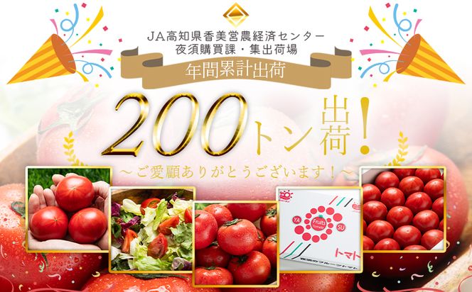 【2026年出荷分】夜須のフルーツトマト 約2kg 【旅サラダに取り上げられました！】 先行予約受付 期間限定 季節限定 野菜 やさい フルティカ 完熟 小ぶり 小さめ 糖度 yu-0018