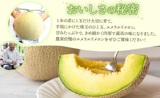 【発送開始】美しいネットとしっかり甘い果実 夜須のエメラルドメロン 2玉（1.5kg〜1.8kg×2個）- メロン 青肉 ギフト 贈答 のし デザート おやつ おすそ分け yu-0025