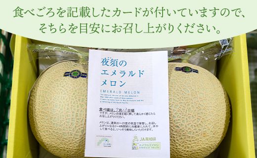 メロン【期間限定】美しいネットとしっかり甘い果実 夜須のエメラルドメロン 2玉（1.5kg〜1.8kg×2個） yu-0011