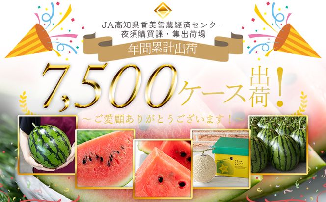 【2026年5月下旬より順次配送】空中立体栽培で太陽の愛情をたっぷり受けた ルナ・ピエナスイカ(大玉) - スイカ 高知県産 ルナピエナ ギフト 贈り物 のし フルーツ大好き 西瓜 yu-0010