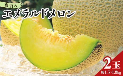 [ブランドメロン]エメラルドメロン 2玉 メロン 美しいネットとしっかり甘い果実 夜須の(1.5kg〜1.8kg×2個) yu-0011