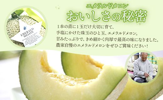 【期間限定】ルナ・ピエナスイカと夜須のエメラルドメロンセット 各1玉 - 送料無料 果物 くだもの フルーツ めろん すいか 甘い ギフト 贈答用 お祝い 御祝 お礼 御礼 特産品 yu-0015