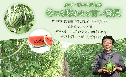 【期間限定】ルナ・ピエナスイカと夜須のエメラルドメロンセット 各1玉 - 送料無料 果物 くだもの フルーツ めろん すいか 甘い ギフト 贈答用 お祝い 御祝 お礼 御礼 特産品 yu-0015