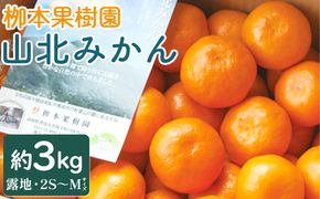 【令和6年発送】柳本果樹園の山北みかん 約3kg（露地・2S〜Mサイズ）- 果物 フルーツ 柑橘類 温州みかん ミカン 蜜柑 甘い おいしい 送料無料 のし 贈り物 冬 期間限定 季節限定 数量限定 2024年出荷 高知県 香南市 yg-0006