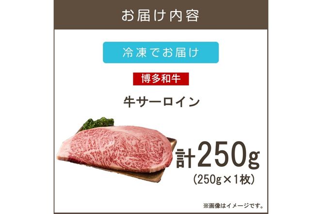 【A3-081】【A4-A5ランク】博多和牛サーロインステーキ 250g