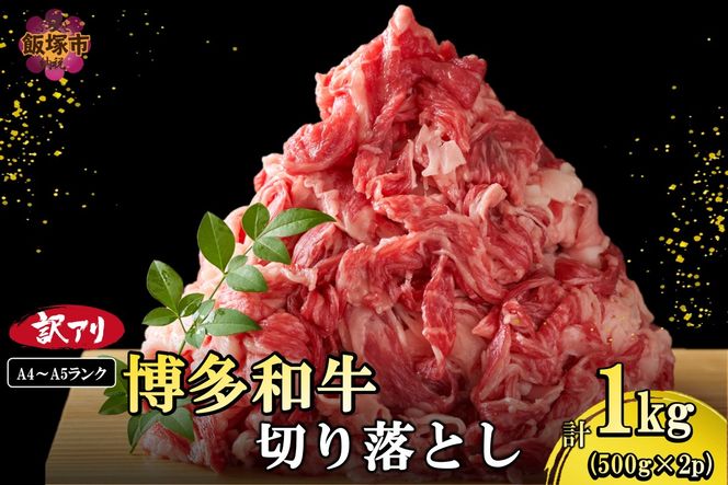 yђˎszyA9-018zAIyA4-A5Nza؂藎Ƃ 1kg