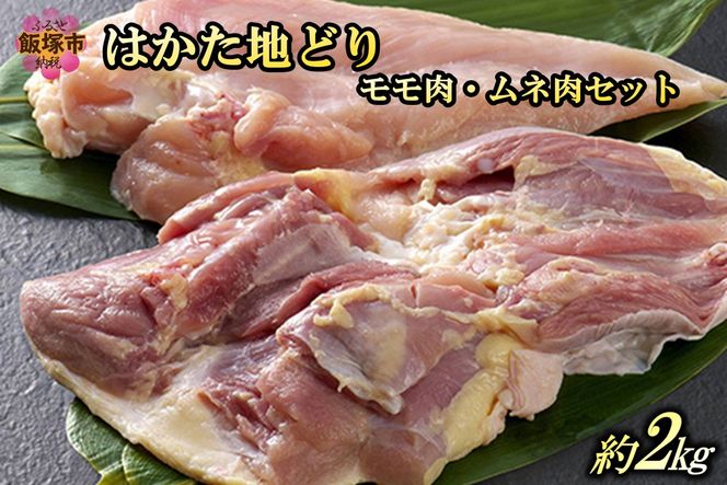 yђˎszyB-183z͂nǂ胂ElZbg2kg