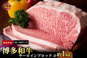 【D2-010】【厳選部位】【A4ランク-A5ランク】博多和牛サーロインブロック 1kg