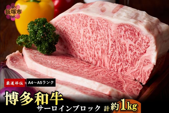 yђˎszyD2-010zyIʁzyA4N-A5NzaT[CubN 1kg