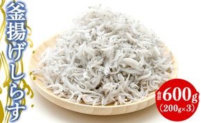 土佐名産 釜揚げしらす 合計600g（約200g×3）- しらす丼 魚 さかな シラス ちりめん じゃこ かまあげ ご飯のお供 ごはん おいしい 送料無料 高知県 香南市 冷凍 tk-0011