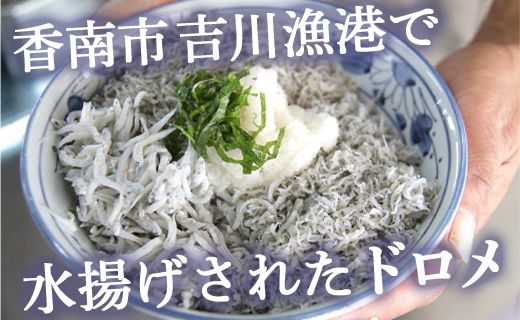 土佐名産 釜揚げしらす 合計600g（約200g×3）- しらす丼 魚 さかな シラス ちりめん じゃこ かまあげ ご飯のお供 ごはん おいしい 送料無料 高知県 香南市 冷凍 tk-0005