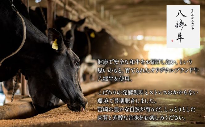 宮崎県産黒毛和牛 八郷牛 特製たれ 切り落とし 500g×2 合計1kg_M222-004