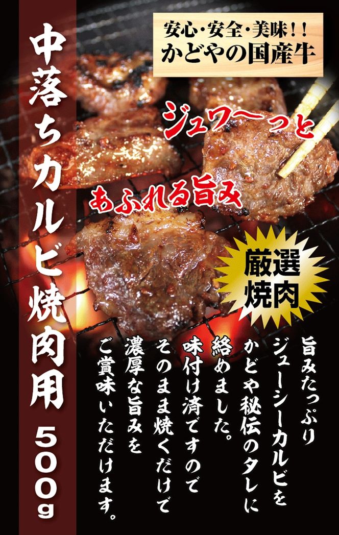 7-2195　国産牛中落ちカルビ焼肉用 500g【牛肉 国産 お肉 神奈川県 小田原市 】