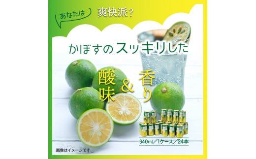 飲み比べ！かぼすハイボールとやさしいかぼすハイボール定期便/計3回発送_2386R