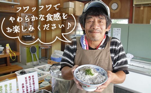 土佐名産 釜揚げしらす 合計1kg（約250g×4）- シラス じゃこ ちりめん ご飯のお供 食事 丼 おつまみ 酒の肴 魚 ギフト 贈答 贈り物 送料無料 高知県 香南市 冷凍 tk-0006