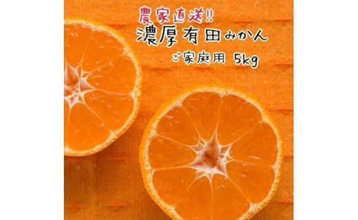 ご家庭用 訳あり 有田 みかん 5kg[わけあり] みかんの本場和歌山有田より農家直送![11月中旬〜1月上旬発送]