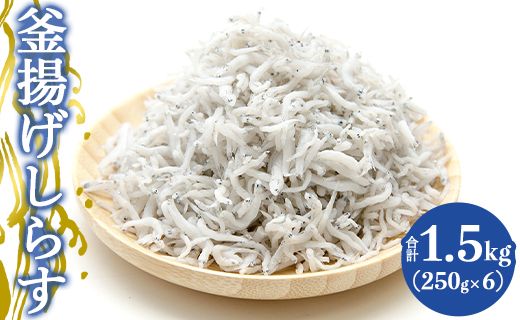 土佐名産 釜揚げしらす 合計1.5kg（約250g×6）- シラス じゃこ ちりめん ご飯のお供 食事 丼 おつまみ 酒の肴 魚 ギフト 贈答 贈り物 送料無料 高知県 香南市 冷凍 tk-0007