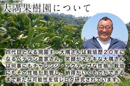 大隅果樹園の玉東梨(旬の品種をお届けします) 約5kg(13-20玉前後) 予約受付中 フルーツ 秋 旬 熊本県玉名郡玉東町 《8月中旬-9月上旬頃出荷》---sg_coosuminasi_g8_25_13000_5kg---