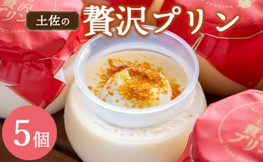 土佐の贅沢プリン5個 - ぷりん スイーツ 食後 デザート おやつ お菓子 おかし 洋菓子 ティータイム 美味しい おいしい 甘い あまい たまご 香ばしい カラメル 菓子工房コンセルト 高知県 香南市 kn-0013