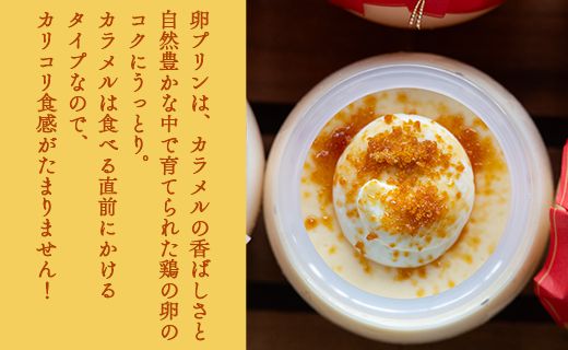 プリン2種 合計12個(卵・ほうじ茶) - ぷりん 食べ比べ 洋菓子 お菓子 スイーツ デザート 詰め合わせ ギフト 母の日 お礼 御礼 贈答 プレゼント のし対応可 熨斗 美味しい おいしい 甘い 