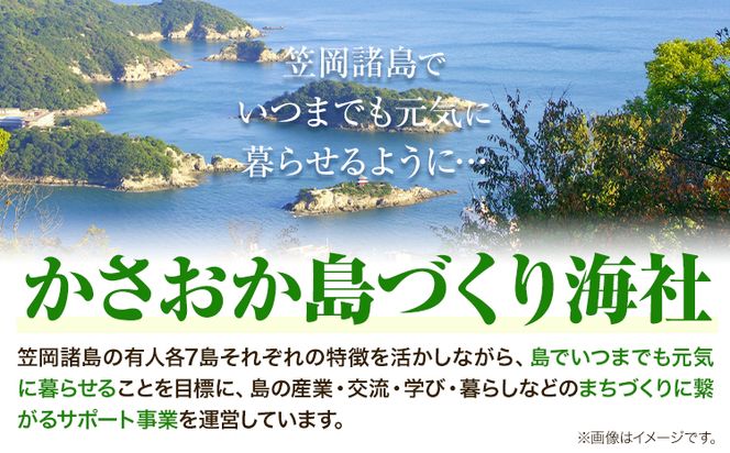 A-133 海苔 笠岡諸島からの贈り物「瀬戸の島のり（まろやか）」＆季節の商品 Aセット 特定非営利活動法人かさおか島づくり海社《45日以内に出荷予定(土日祝除く)》岡山県 笠岡市 海苔 おにぎり 寿司 おやつ---A-133---