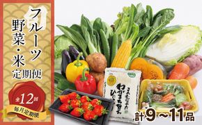 【定期便／年12回／毎月お届け】むなかた旬のお任せセット(野菜・フルーツ・お米／9～11品)【ほたるの里】_HB0029