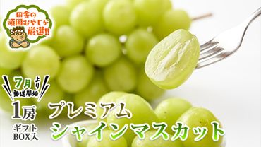 プレミアム シャインマスカット 1房  ギフトBOX 入り 【 令和6年7月より発送開始 】 田舎の頑固おやじが厳選 ！ 茨城県 県産 つくばみらい市 人気 厳選 果物 くだもの 旬 旬の果物 旬のフルーツ プレミア プレミアム シャインマスカット マスカット ぶどう ブドウ ギフト 贈り物 プレゼント ボックス入り お歳暮 御歳暮 冷蔵 [BI236-NT]