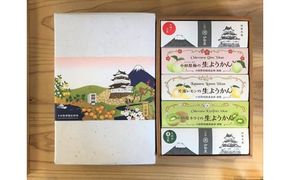 144-1770　小田原老舗和菓子店の手づくりようかん5本セット【 お菓子 スイーツ 神奈川県 小田原市 】