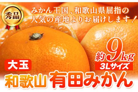 [食べごたえ十分]和歌山有田みかん大玉約9kg(3Lサイズ・秀品) 厳選館[11月上旬-1月末頃出荷] 和歌山県 日高川町 有田みかん みかん 和歌山県 日高川町 有田みかん みかん---wshg_tmt124_ac111_24_12000_9kg---