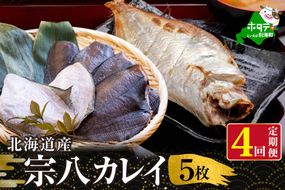 【定期便】北海道 産 一夜干し 宗八 カレイ 5枚 × 4ヵ月 【全 4回 】