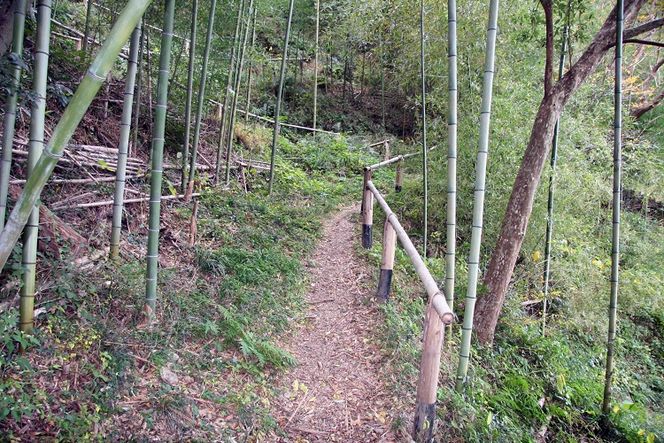 220 語り部と歩きたび★熊野古道★時さかのぼるありだ【完歩証付き】 (A220-1)