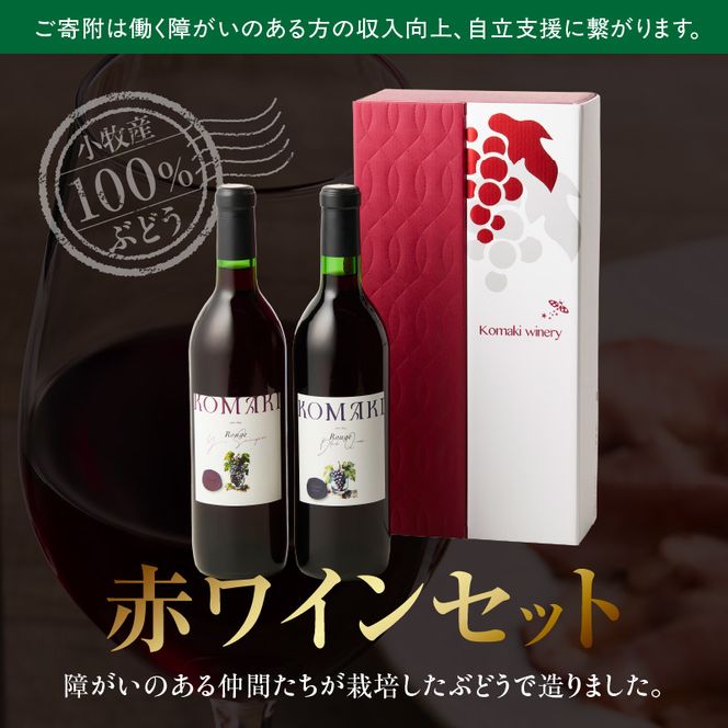 小牧ワイナリー 赤ワイン２本飲み比べセット（小牧産ぶどう100％使用）［026A08］