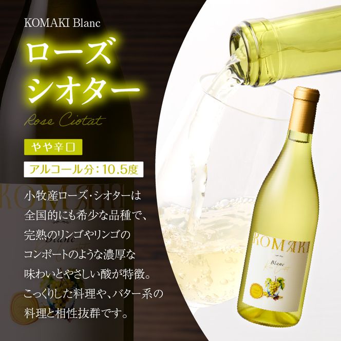 小牧ワイナリー 赤・白ワイン２本セット【限定50セット】（小牧産ぶどう100％使用）［026A10］