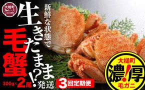 【令和7年発送】【3回定期便】三陸産！活毛ガニ 300g相当×2杯(2尾) 【2025年2月～4月発送】【配送日指定不可】【0tsuchi01299】【08】