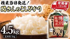 【 定期便 3ヶ月 】 精米日出荷 みずほの村市場牛久店 関さんの こしひかり 4.5kg ( 玄米時 5kg ) 新鮮 米 特別栽培農産物 認定米 令和6年産 [AM041us]