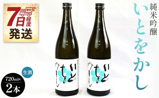 [7日程度で発送]白ワインのようなお酒!純米吟醸いとをかし生酒720ml×2本 - お酒 日本酒 米 飲み物 飲料 贈り物 贈答品 14度 飲みやすい 高知県 香南市 冷蔵 gs-0053