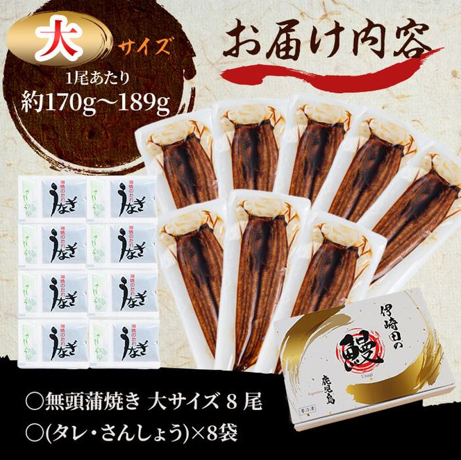 鹿児島県産 伊崎田のうなぎ蒲焼 大＜170g以上＞× 8尾(計1.3kg以上) e4-005