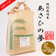 BI-8a 【3か月定期便】垂井町産あさひの夢(5kg×3回）