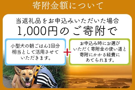 ＜保健所犬猫レスキュー【返礼品なしのご寄附】＞【 動物愛護 愛護活動 保護 犬 猫 いぬ ねこ イヌ ネコ 動物 どうぶつ ペット 応援 支援 寄付 使い道 寄附のみ いのちのはうす保護家 】【b0607_in】