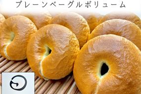 【A-862】プレーンベーグルボリューム 16個セット