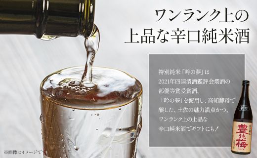 土佐の素材100%！龍の夢セット720ml×2本 gs-0120