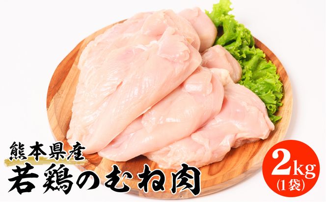 yF{szF{Y {̂ނ˓ 2kg 1 {   l  {   Mp  `L  wV[ Y BY Ⓚ