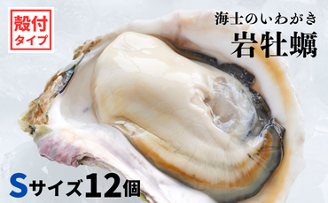 【海士のいわがき】海士町産 いわがき 岩牡蠣 Sサイズ 12個 殻付き 新鮮クリーミーな高級岩牡蠣 冷凍 生食 牡蠣ナイフ 説明書付き 2.04kg～2.82kg