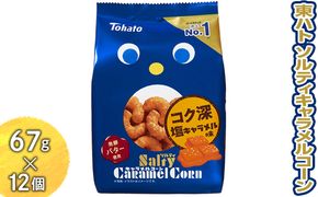 東ハト ソルティキャラメルコーン 67g×12個 ※着日指定不可